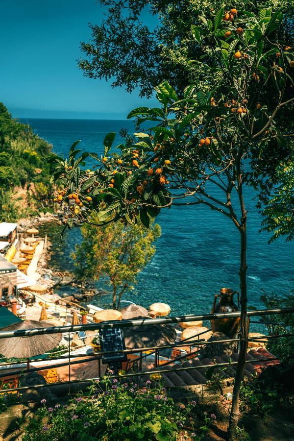 O' Vagnitiello - Parco Balneare Idroterapico - Camere - Ristorante Casamicciola Terme Esterno foto